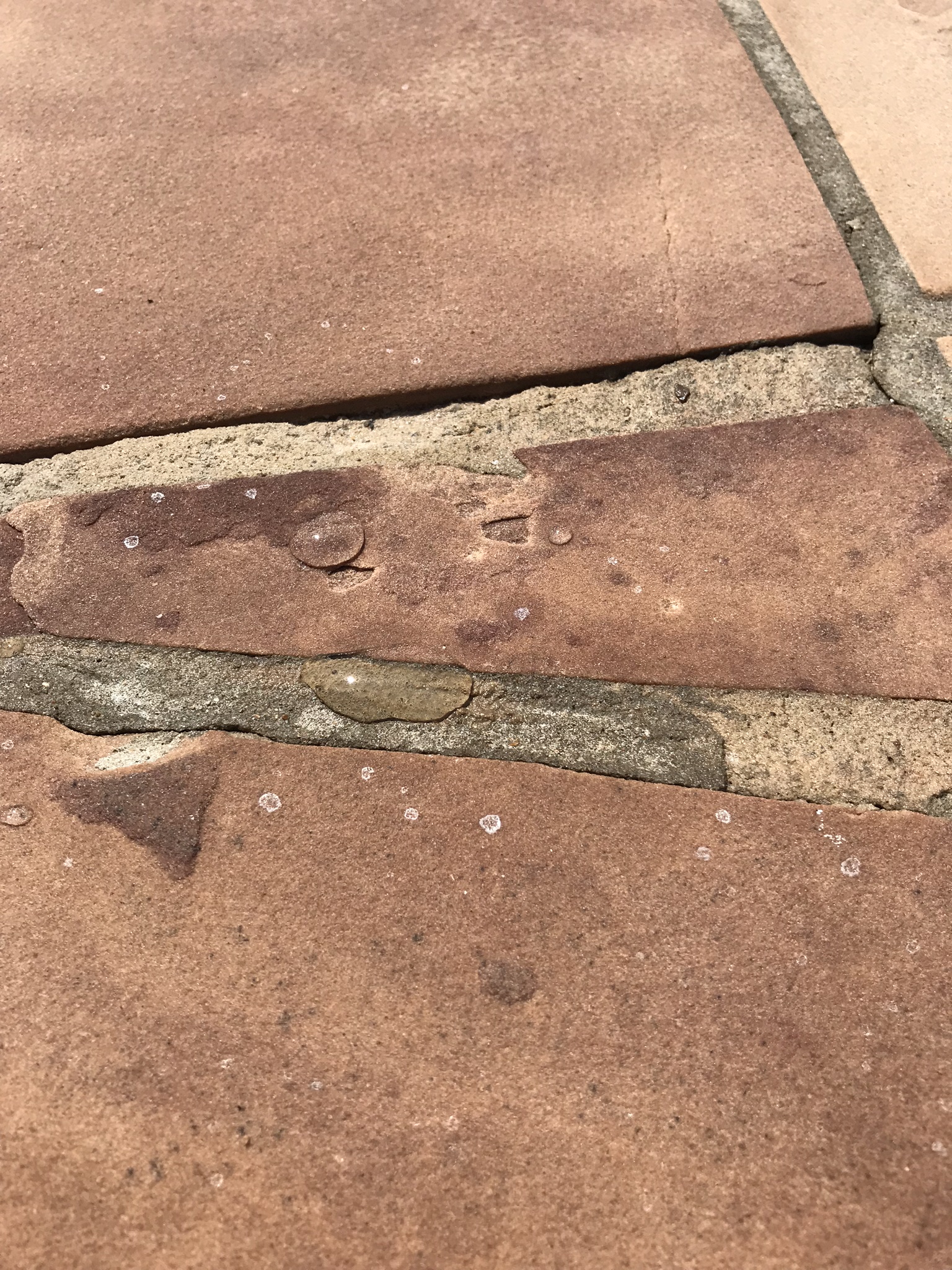 A few hours after we sealed the flagstone, we tested our application with a bottle of water. As you can tell, our water does not absorb into the stone at all. As a matter of fact, it beads up and is easily blow aside by the wind or a leaf blower (for those who enjoy some heavier outdoor toys).